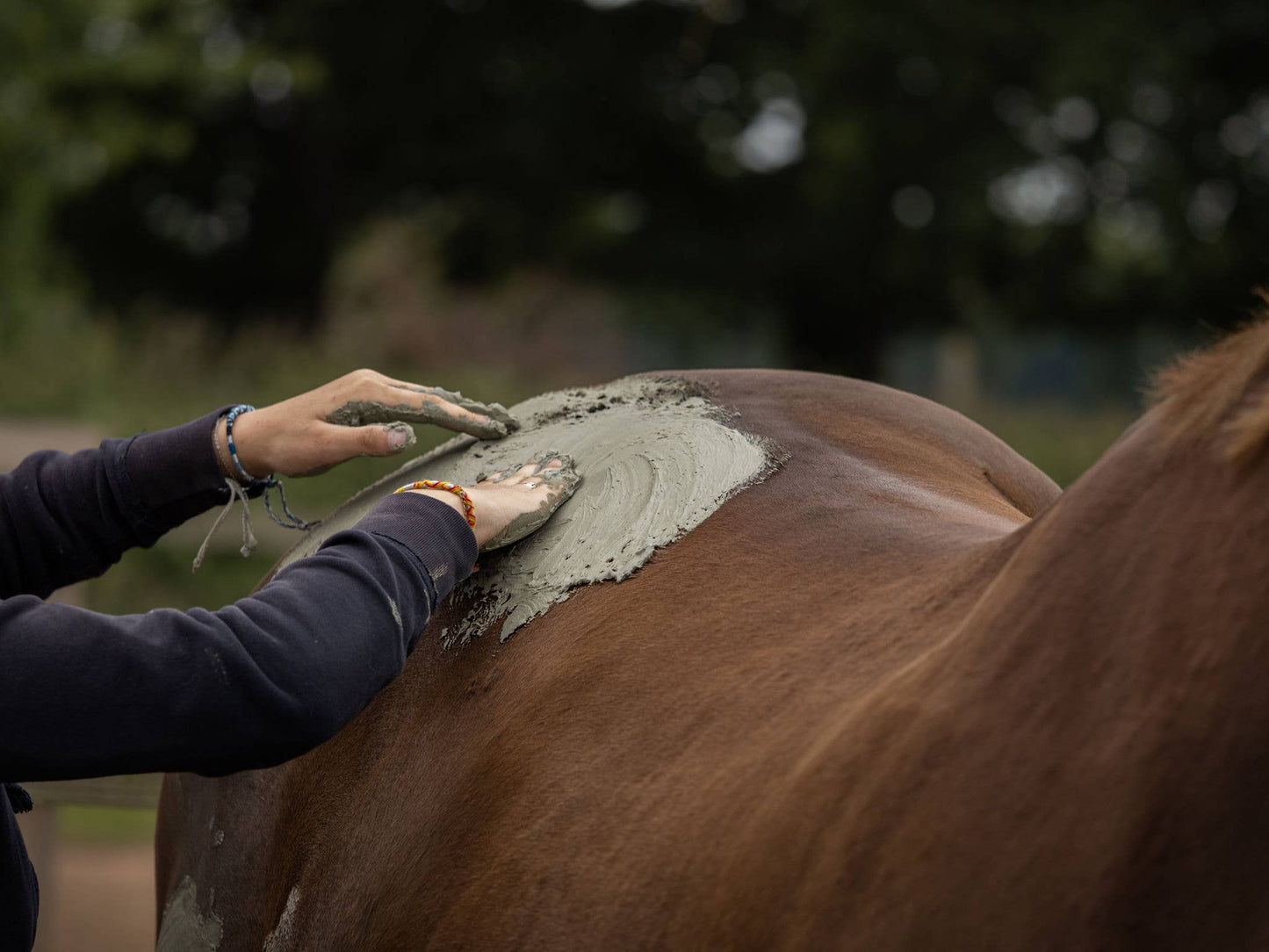 Nellumbo - Argile pour chevaux - Douleurs muscu & arti - 1,5KG