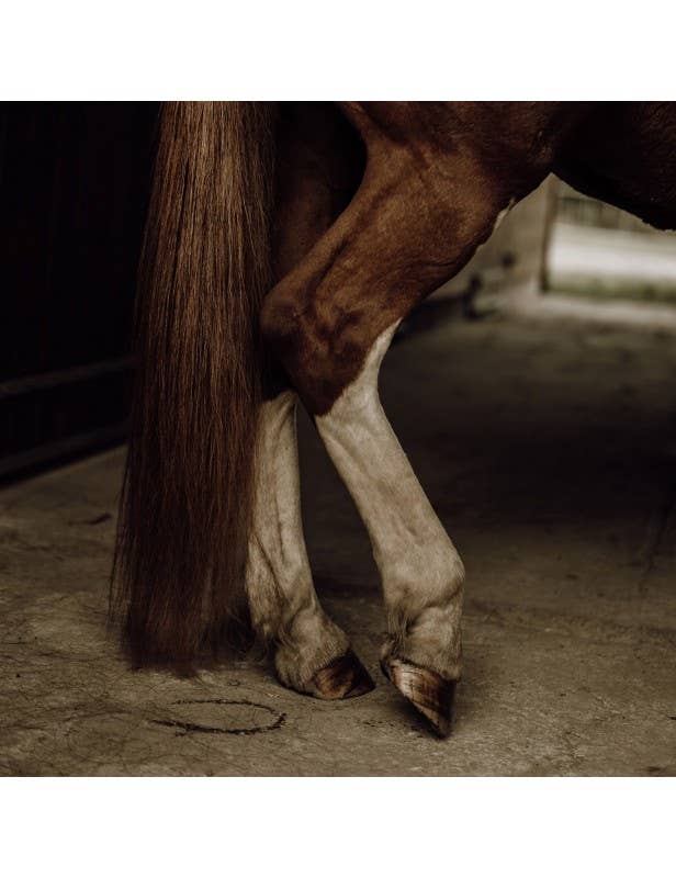 Nellumbo - Soin Démêlant naturel pour chevaux - 500 ML
