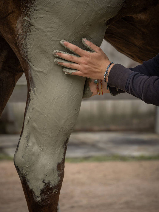 Nellumbo - Argile pour chevaux - Drainage & Détox - 1,5KG