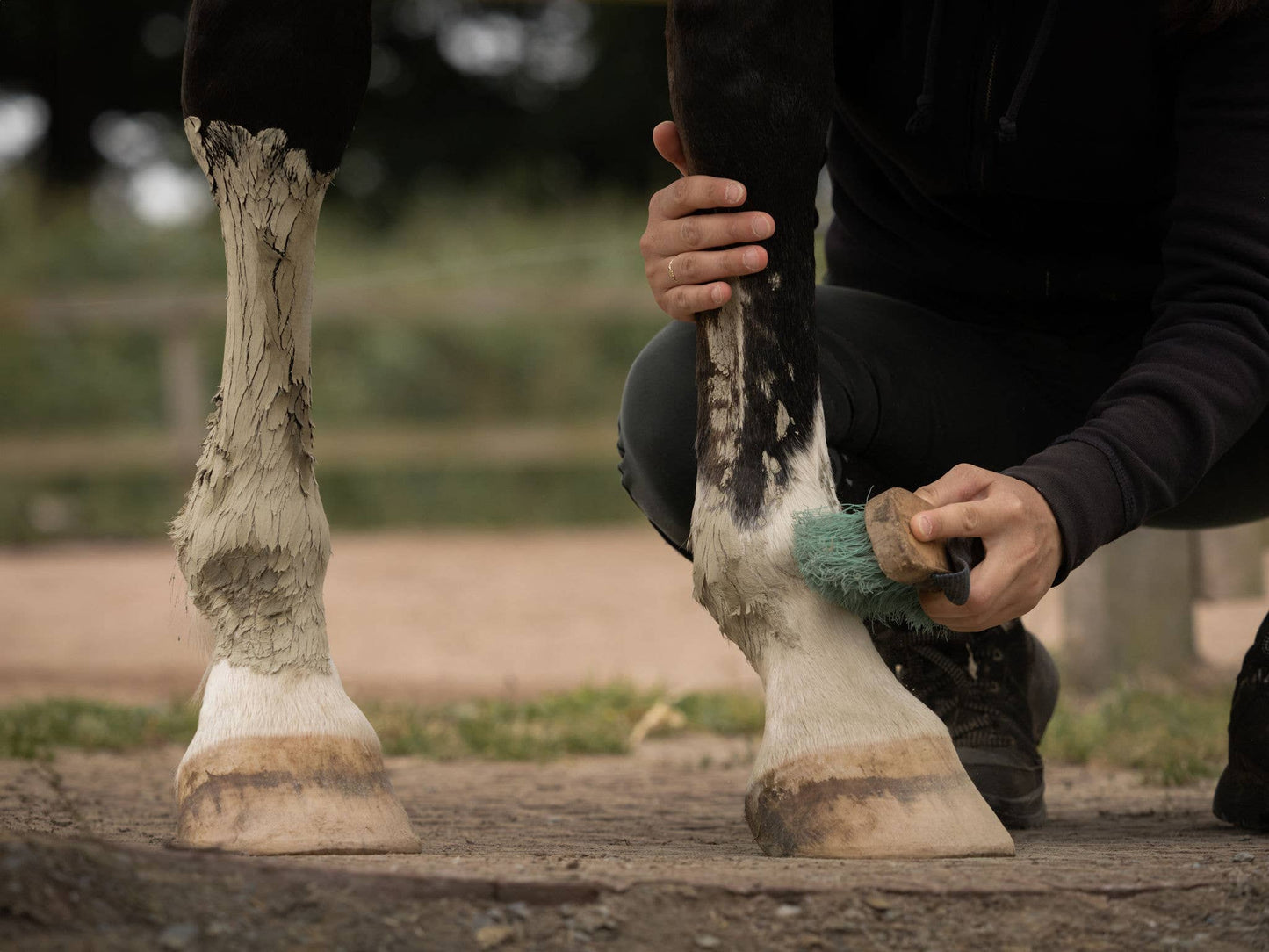 Nellumbo - Argile pour chevaux - Drainage & Détox - 1,5KG